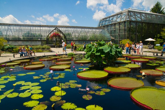 Longwood Gardens